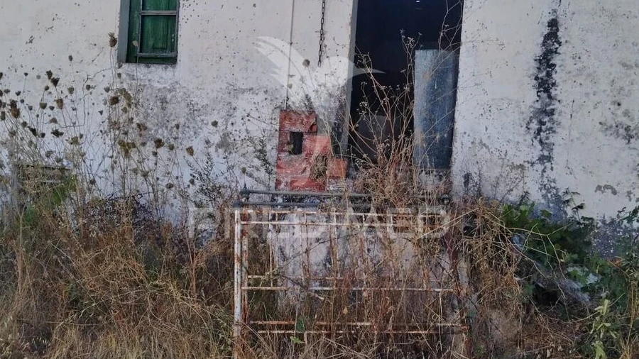 Quinta T0 para Venda em Ribeira de Nisa e Carreiras