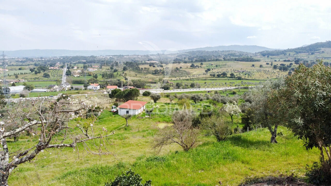 Moradia T3 para Venda em São Pedro e Santa Maria e Vila Boa do Mondego Foto 13
