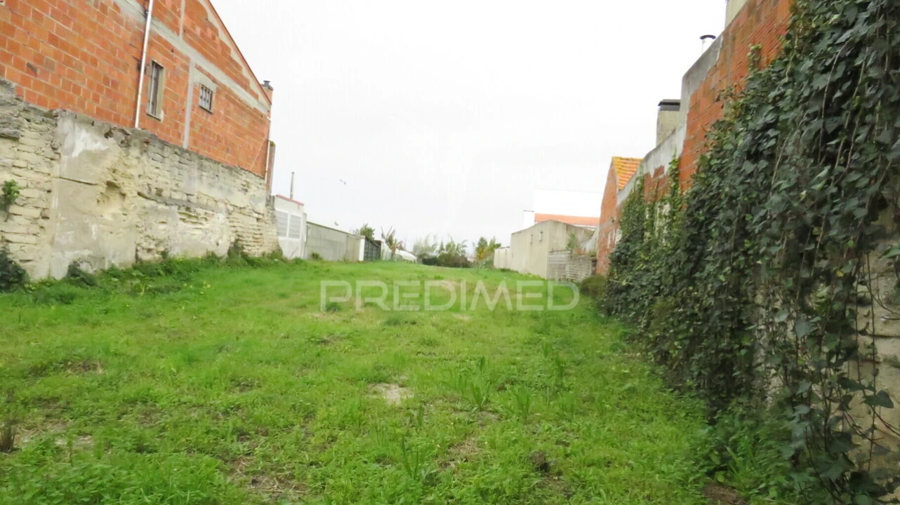 Terreno para Venda em Vagos e Santo António Foto 7
