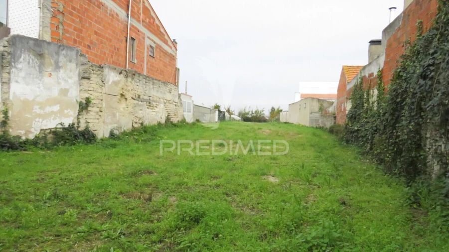 Terreno para Venda em Vagos e Santo António Foto 5