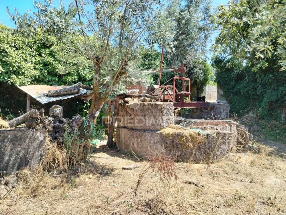 Terreno para Venda em Ribeira de Nisa e Carreiras Foto 1