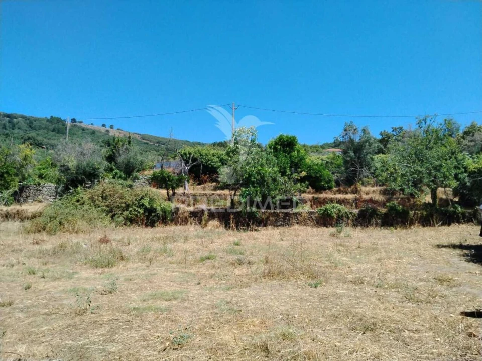 Terreno para Venda em Ribeira de Nisa e Carreiras Foto 2