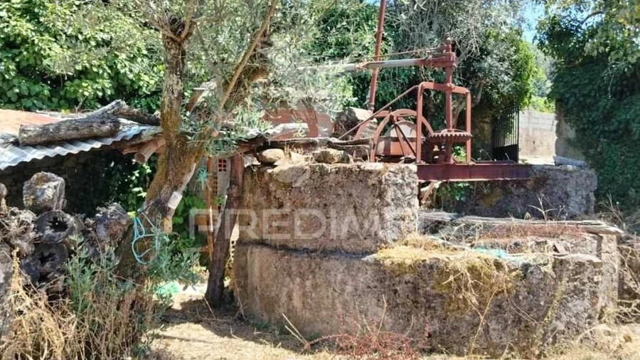 Terreno para Venda em Ribeira de Nisa e Carreiras