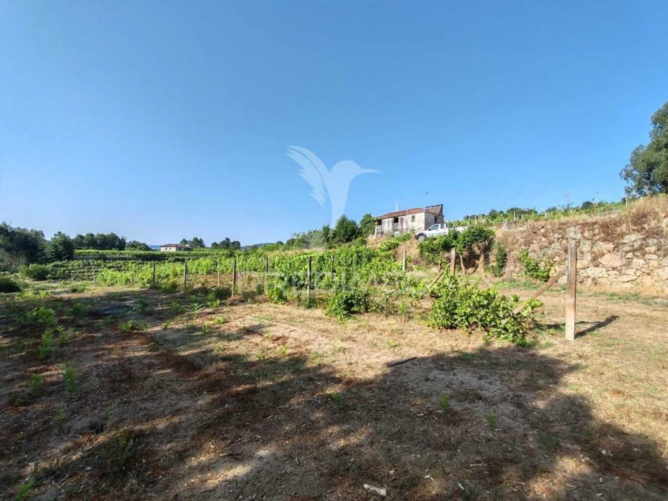 Quinta T0 para Venda em Sobrado e Bairros Foto 27