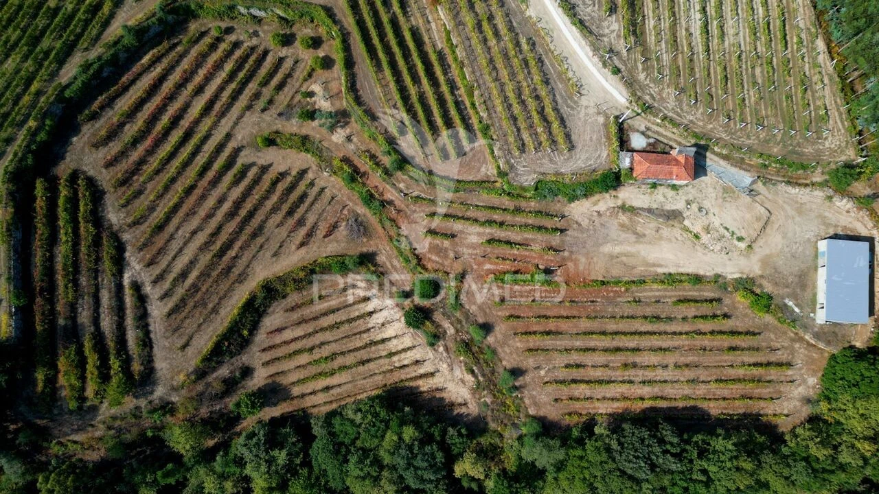 Quinta T0 para Venda em Sobrado e Bairros Foto 19