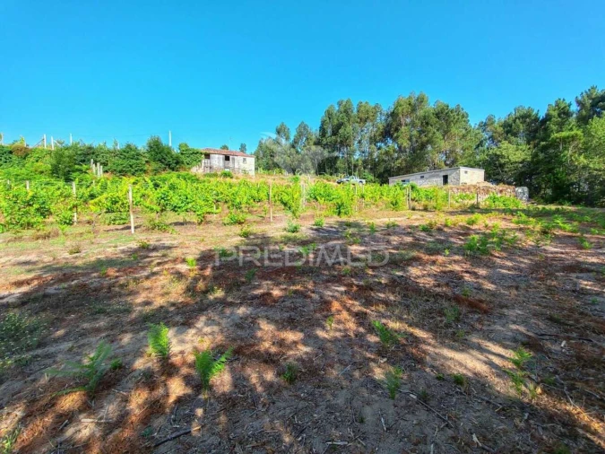 Quinta T0 para Venda em Sobrado e Bairros Foto 26