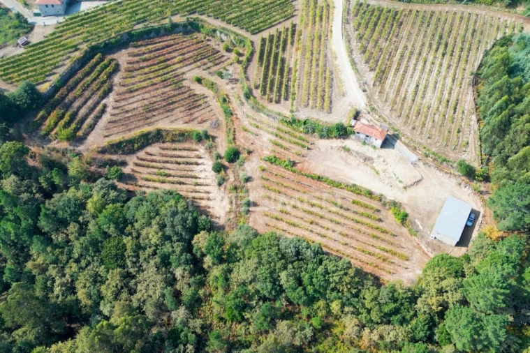 Quinta T0 para Venda em Sobrado e Bairros Foto 23
