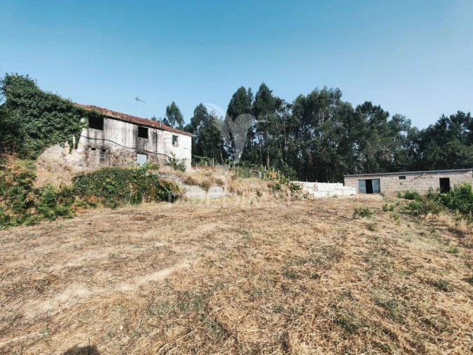 Quinta T0 para Venda em Sobrado e Bairros Foto 13