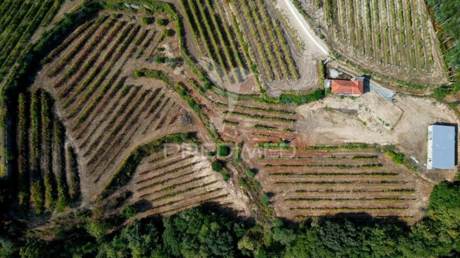 Quinta T0 para Venda em Sobrado e Bairros Foto 19