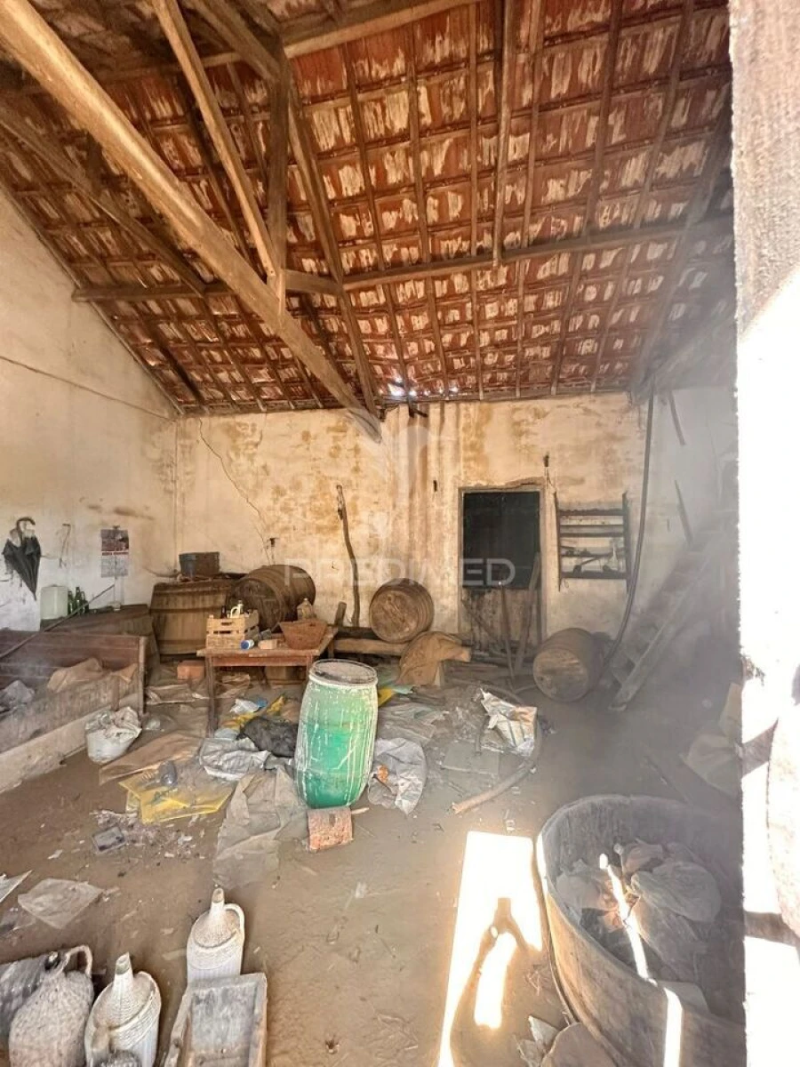 Moradia T2 para Venda em Santa Maria, São Pedro e Matacães Foto 4