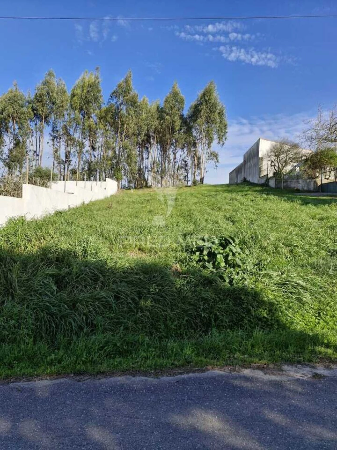 Terreno para Venda em Tornada e Salir do Porto Foto 5