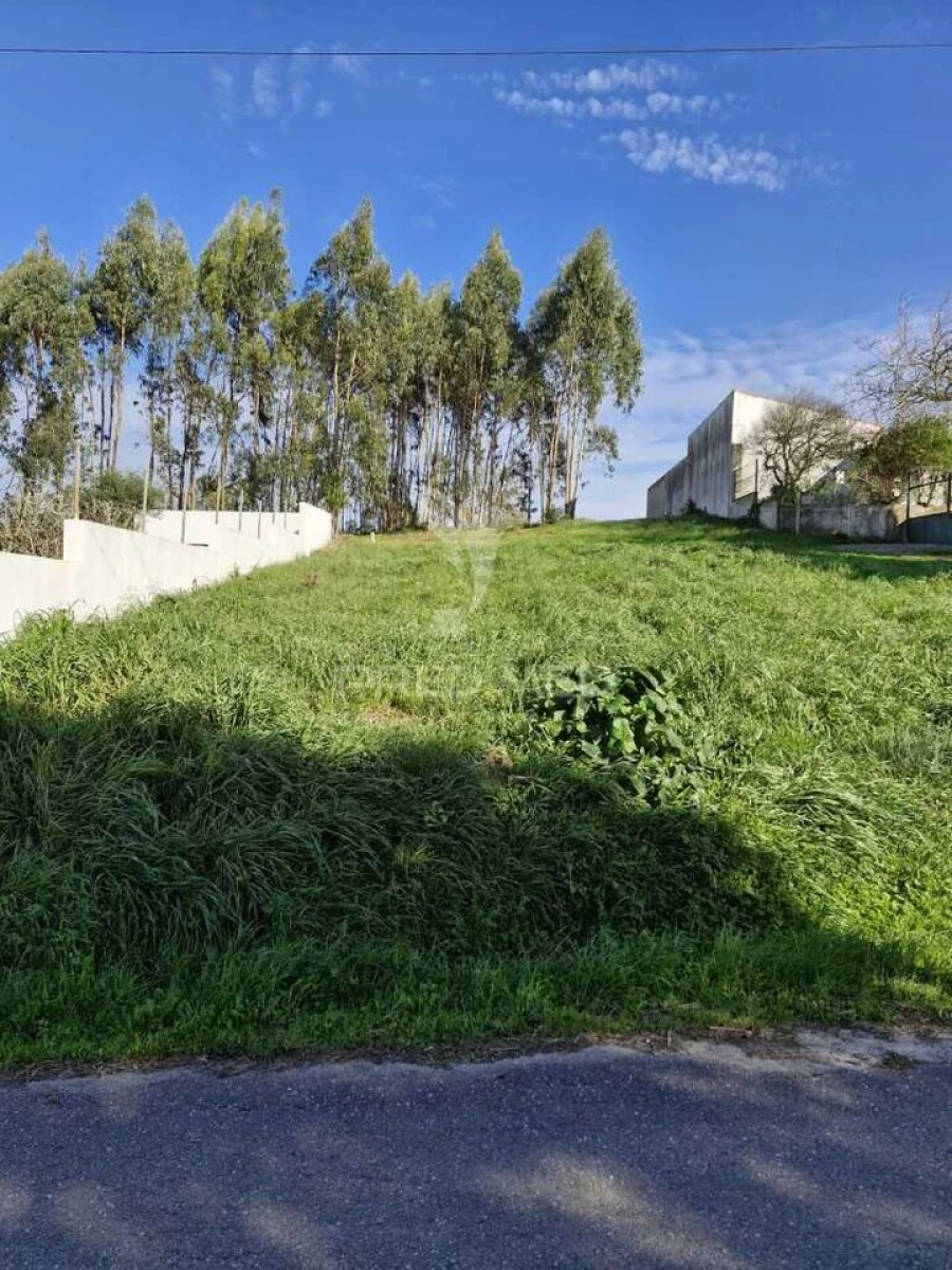 Terreno para Venda em Tornada e Salir do Porto Foto 5