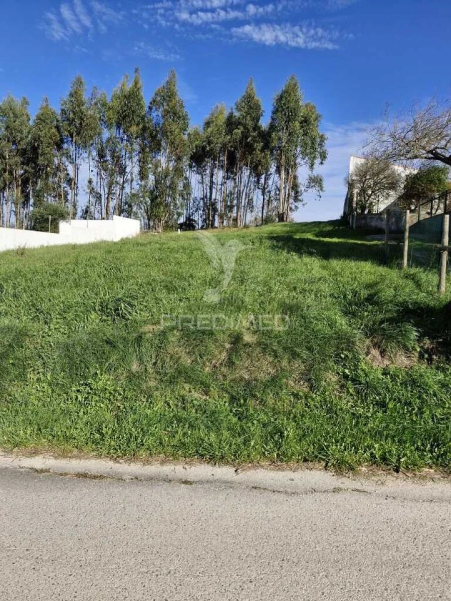 Terreno para Venda em Tornada e Salir do Porto Foto 3