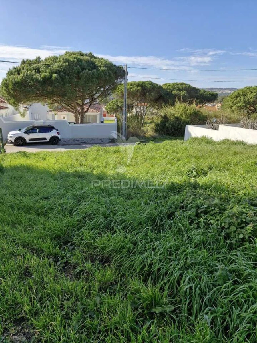 Terreno para Venda em Tornada e Salir do Porto Foto 2