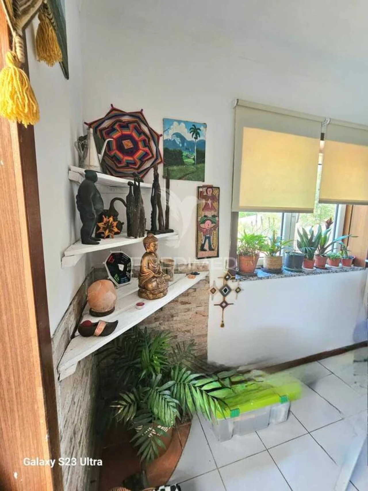 Moradia T6 para Venda em Adoufe e Vilarinho de Samardã Foto 31