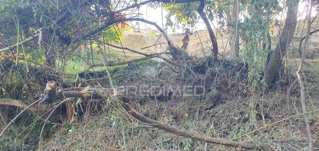 Terreno para Venda em Sandim, Olival, Lever e Crestuma Foto 30