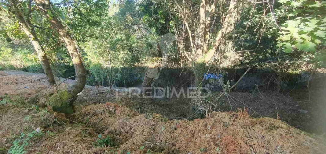 Terreno para Venda em Sandim, Olival, Lever e Crestuma Foto 33