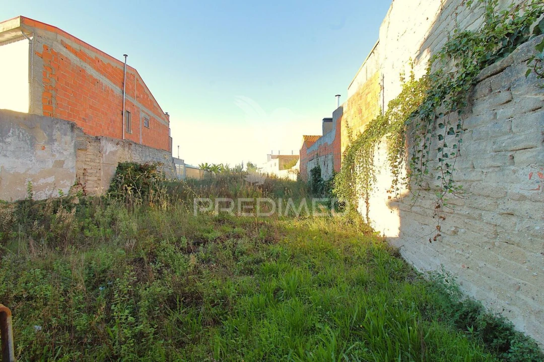 Terreno para Venda em Vagos e Santo António Foto 2