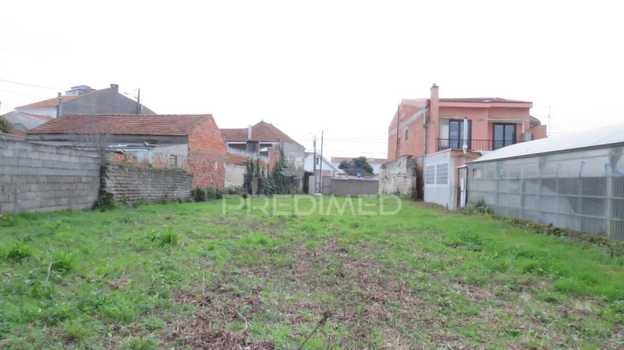 Terreno para Venda em Vagos e Santo António Foto 4