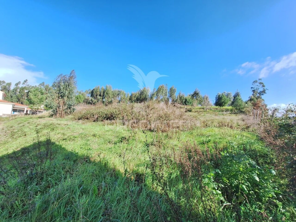 Terreno para Venda em Olaia e Paço Foto 7
