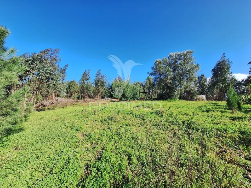 Terreno para Venda em Olaia e Paço Foto 9
