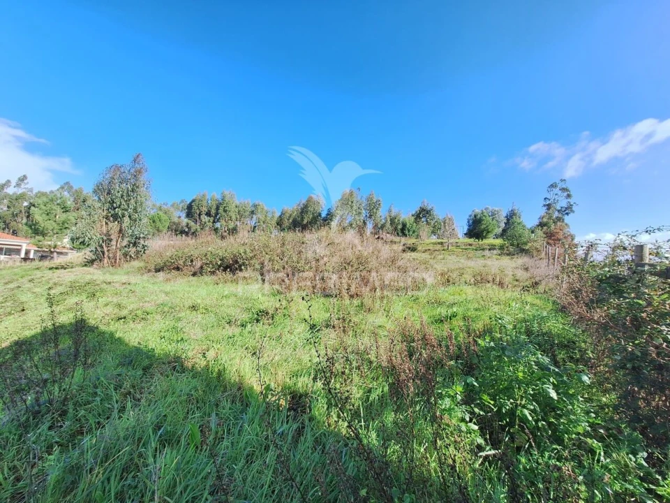 Terreno para Venda em Olaia e Paço Foto 8