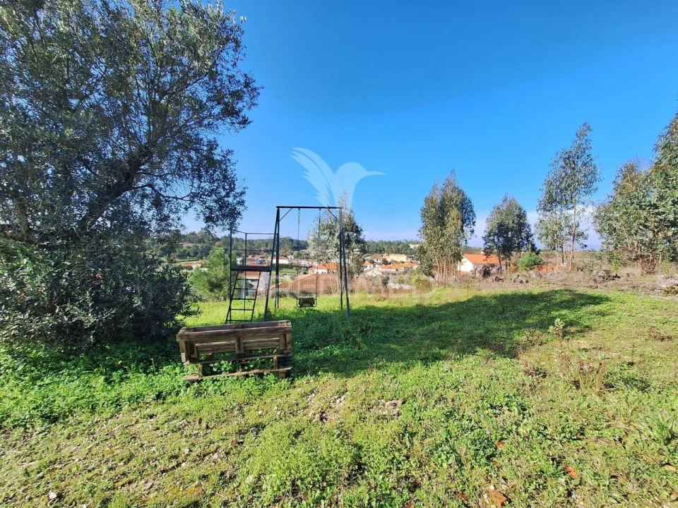 Terreno para Venda em Olaia e Paço Foto 11