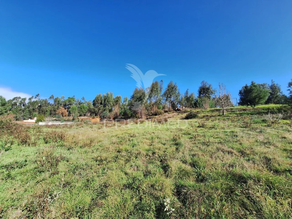 Terreno para Venda em Olaia e Paço Foto 6