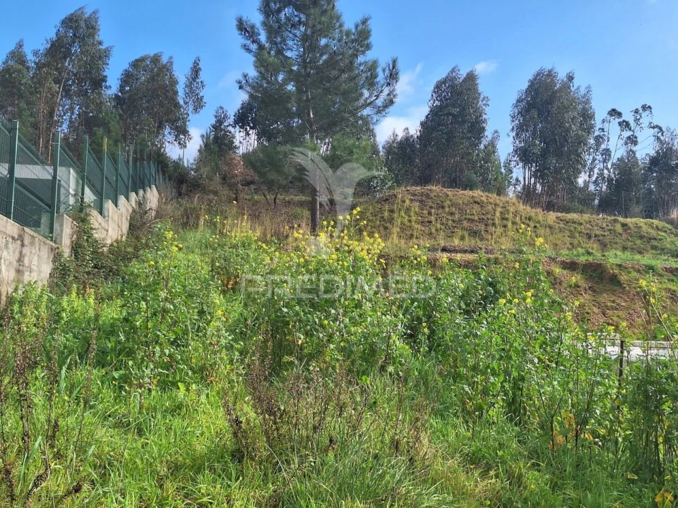 Terreno para Venda em Olaia e Paço Foto 3