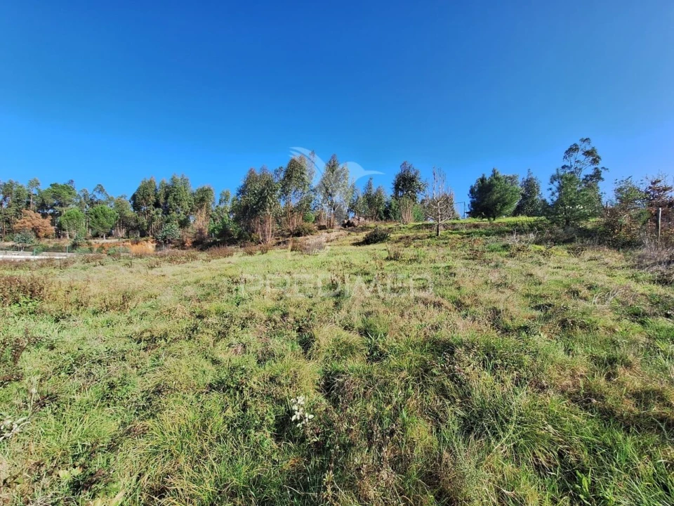 Terreno para Venda em Olaia e Paço Foto 5