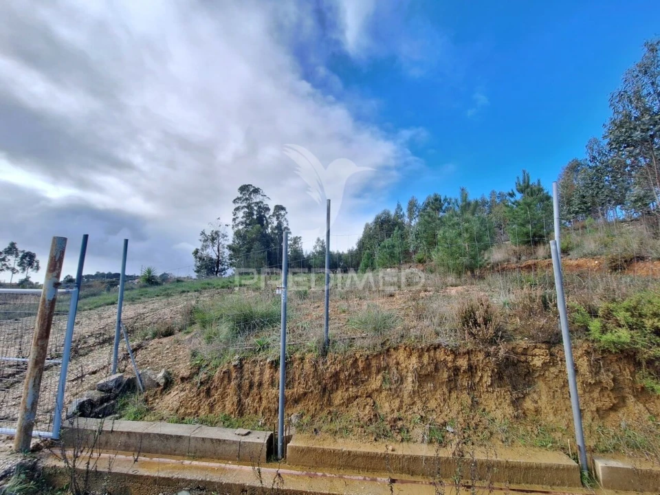 Terreno para Venda em Olaia e Paço Foto 23