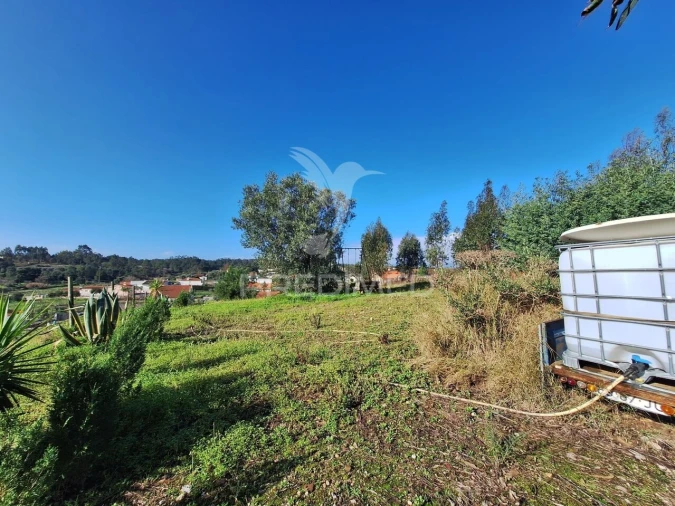Terreno para Venda em Olaia e Paço Foto 13