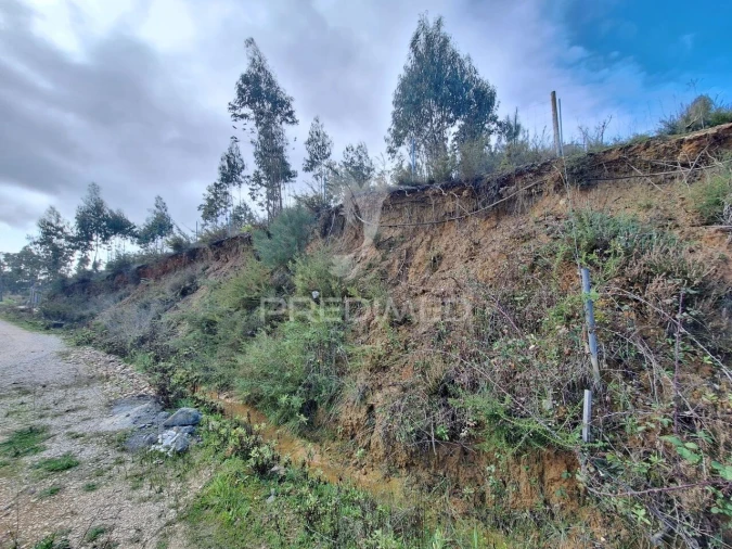 Terreno para Venda em Olaia e Paço Foto 22