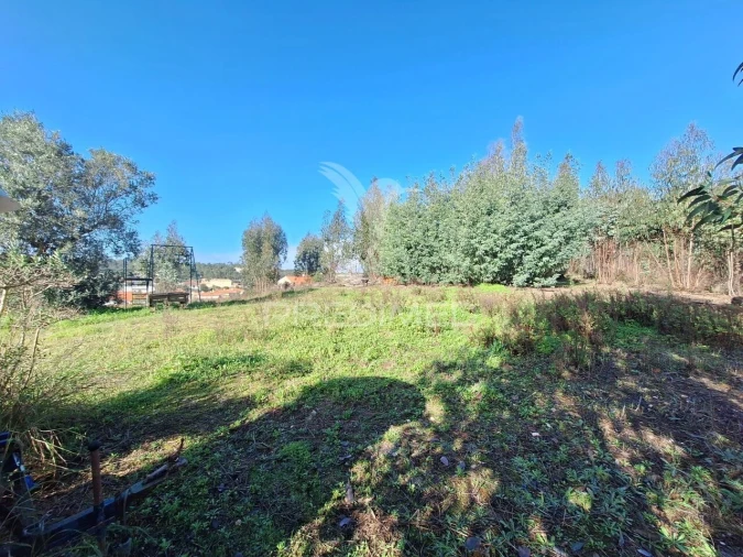 Terreno para Venda em Olaia e Paço Foto 12