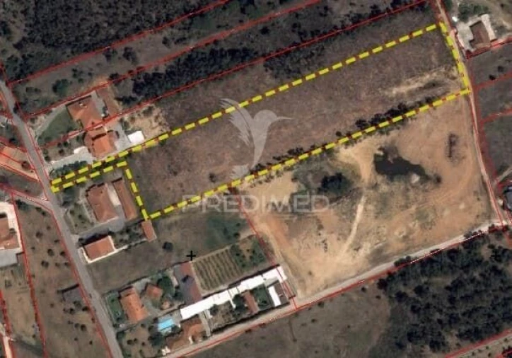 Terreno para Venda em Olaia e Paço Foto 2