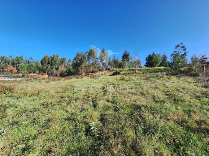 Terreno para Venda em Olaia e Paço Foto 5
