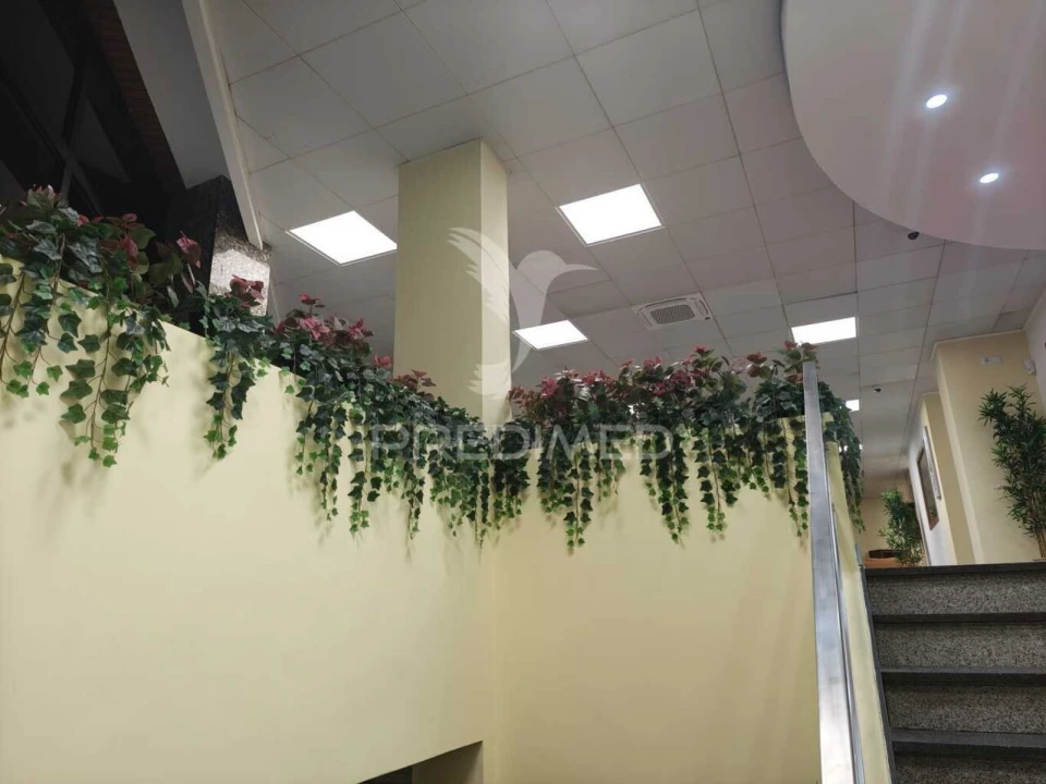 Prédio para Arrendamento em Faro (Sé e São Pedro) Foto 4