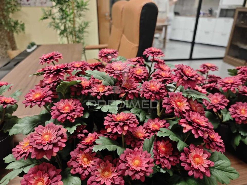 Prédio para Arrendamento em Faro (Sé e São Pedro) Foto 11