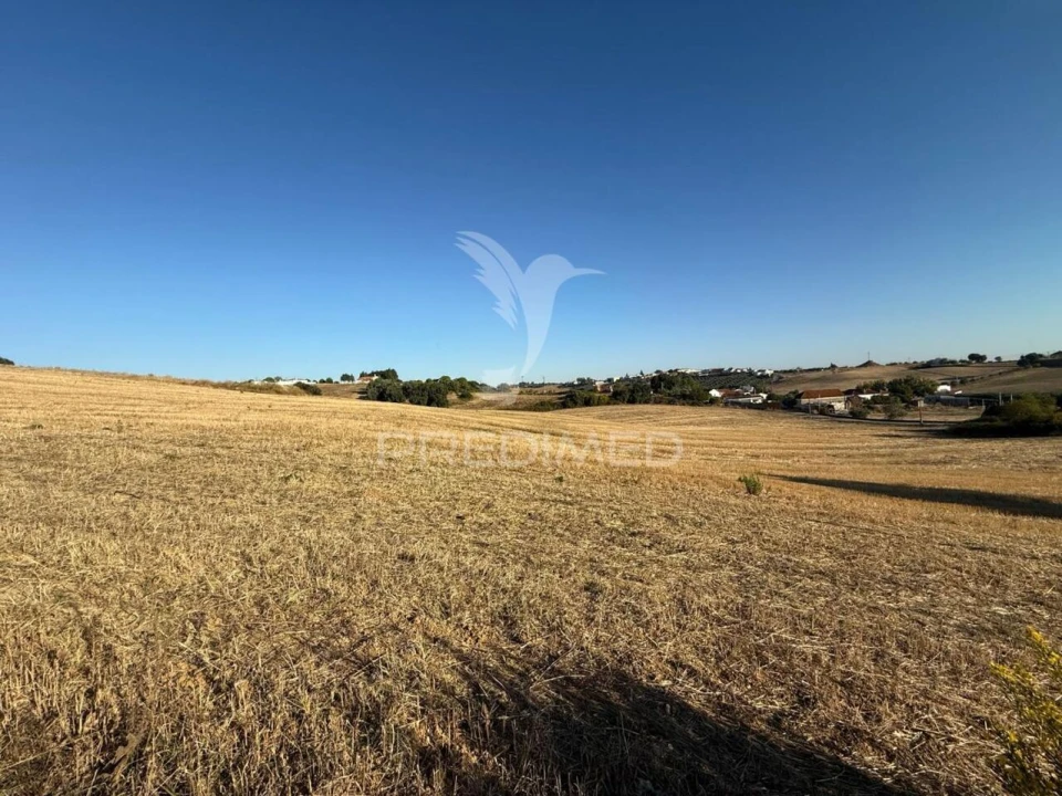 Moradia T3 para Venda em Achete, Azoia de Baixo e Póvoa de Santarém Foto 25