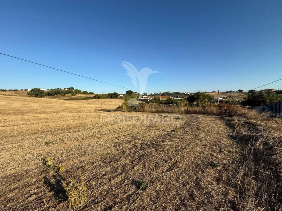 Moradia T3 para Venda em Achete, Azoia de Baixo e Póvoa de Santarém Foto 23
