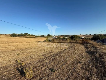 Moradia T3 para Venda em Achete, Azoia de Baixo e Póvoa de Santarém