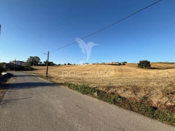 Moradia T3 para Venda em Achete, Azoia de Baixo e Póvoa de Santarém