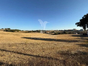 Moradia T3 para Venda em Achete, Azoia de Baixo e Póvoa de Santarém