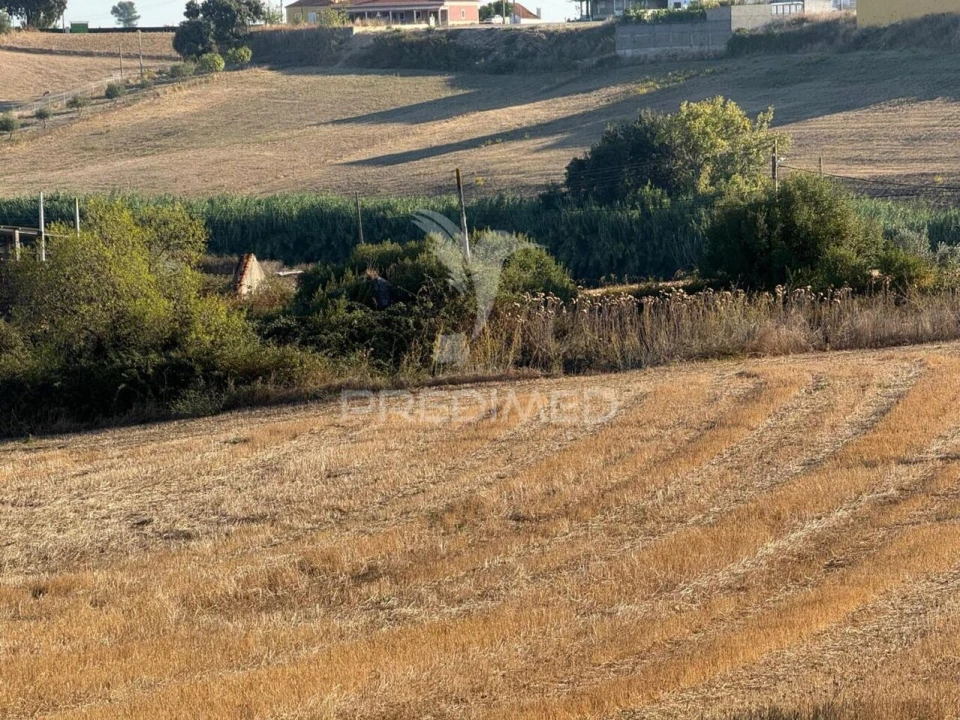 Moradia T3 para Venda em Achete, Azoia de Baixo e Póvoa de Santarém Foto 24