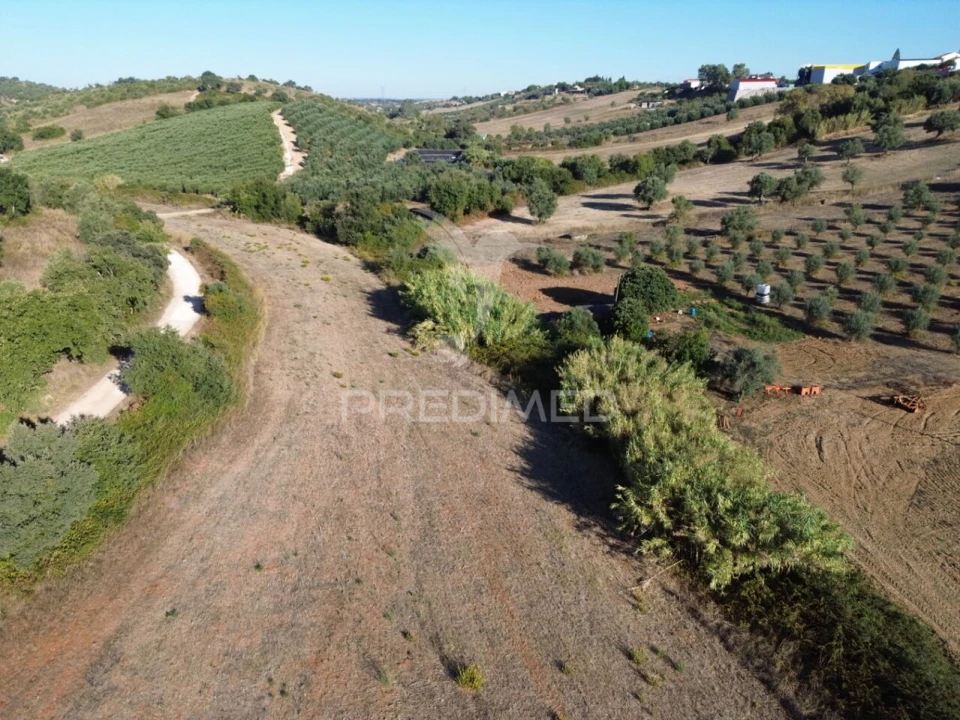 Terreno para Venda em Achete, Azoia de Baixo e Póvoa de Santarém Foto 1