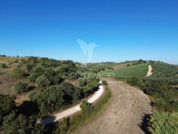 Terreno para Venda em Achete, Azoia de Baixo e Póvoa de Santarém