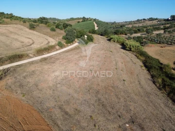 Terreno para Venda em Achete, Azoia de Baixo e Póvoa de Santarém