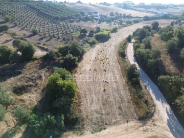 Terreno para Venda em Achete, Azoia de Baixo e Póvoa de Santarém