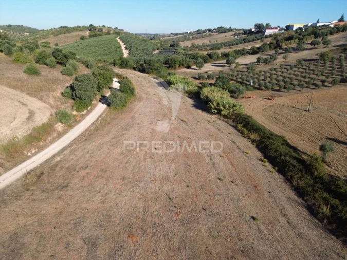 Terreno para Venda em Achete, Azoia de Baixo e Póvoa de Santarém Foto 12