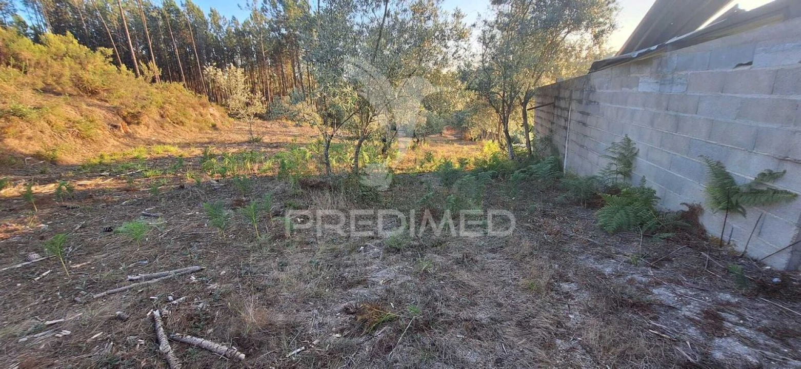 Terreno para Venda em Matas e Cercal Foto 29